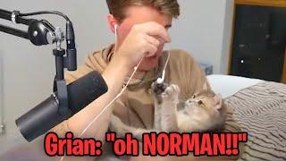 Grian Gets Distracted By Solidarity's Cat..