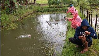 MANCING IKAN MUJAIR‼️ KU TAK SANGGUP LIAT GOYANGANMU OHH PELAMPUNG...