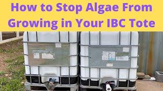 How to Stop Algae From Growing in Your IBC Tote