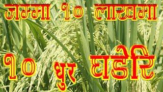 जम्मा १० लाखमा १० धुर घडेरि || cheapest land of rupandehi || cheap rate ghaderi in near butwal