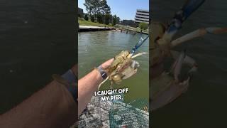 How I Catch Crabs  #chesapeakebay #crabbing #bluecrab