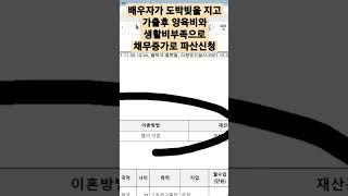 # 배우자가 도박빚을 지고 가출후 양육비와 생활비부족으로 채무가 늘어 파산신청