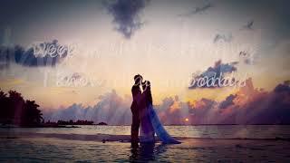 I CAN'T SAY GOODBYE TO YOU -  Helen Reddy (Lyrics)