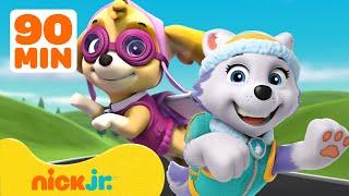 PAW Patrol Girl Power Rescues! #2 w/ Skye & Everest  90 Minutes | Nick Jr.