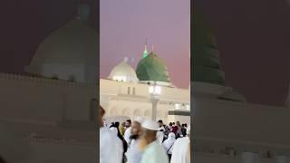 #womeranabi #foryou #rozaerasoolﷺ #fypシ゚viral #frpシ #makkahmadinah #makkahlive #umrahtrip #naat2024