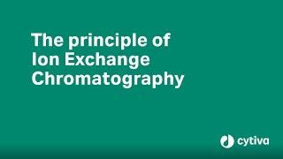 Principles of Ion Exchange Chromatography