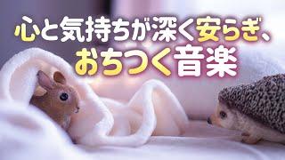 【自律神経を整える】心と気持ちが深く安らぎ、おちつく音楽【テンダートーン】