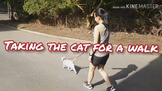 TAKING THE CAT FOR A WALK | CAT ON A LEAD | RicarikzeS