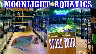 Inside Moonlight Aquatics: A Must-Visit for Fish Keepers!