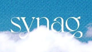 S Beater ft Bu Tesla - Synag (Lyric video)