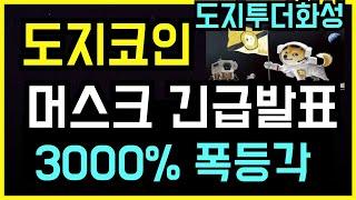 도지코인 일론머스크 5분전 속보 미국 2인자로 승격됐다 11월에 3000배 폭등 시작되나?