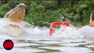 Surprise Gator ATTACK | Anacondas: The Hunt For The Blood Orchid | Now Scaring