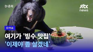 먹는 거 보기만 해도 시원~ 서울대공원 동물들의 여름나기!｜D:이슈