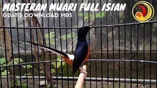 MASTERAN MURAI BATU GACOR FULL ISIAN