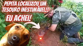 Cachorrinha encontra tesouro inestimável!#detectorismo