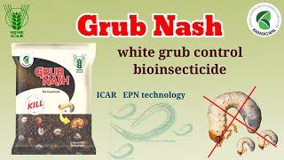 Grub Nash | white grub control bio insecticide | EPN technology | Khandelwal bio fertilizer |