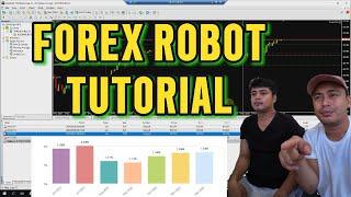 Forex Trading AI Robot Guide! Paano Gamitin ang Sweet Corn EA?