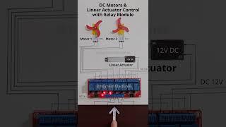 DC Motors & Actuator Control with Relay Module