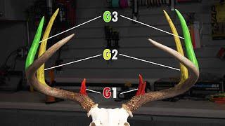 How To Score A Deer