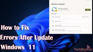 How to Fix Windows 11 Errors after Update