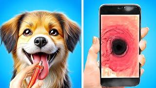 Testing Creative Pets Owner Hacks! Top DIY Fidget Toys & Dogs Gadgets by 123GO! Zoo