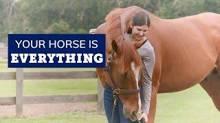 Your horse is everything