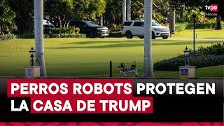 Refuerza la seguridad de Trump con perros robot tras su victoria electoral