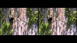 4K 3D Planet Earth Amazing Nature Scenery Side By Side