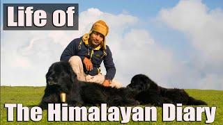 LIFE OF THE HIMALAYAN DIARY | ADVENTURE | TRAVEL | HIMALAYA | PHOTOGRAPHY | TREKKING | ENVIRONMENT