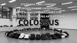  [BTS 영상] 성균관대학교 무용학과, 세계적 현대 무용 안무가 Stephanie Lake의 작품 Colossus 2024년 서울국제공연예술제 참가