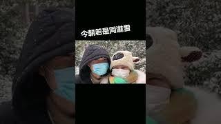 把小说中的浪漫变成现实了。#异地恋 #下雪了