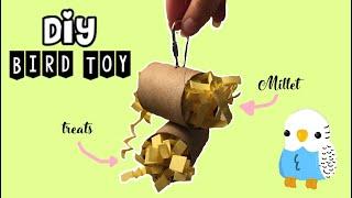 How To Make a DIY Bird Toy   DIY Bird Foraging Toy