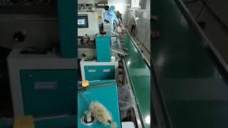 Fruit date candy flow packing machine factory video