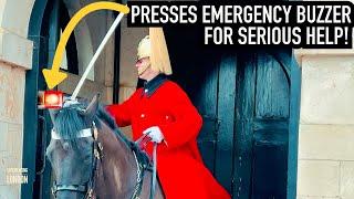 HORSE QUITS & RUNS OFF! | Horse Guards, Royal guard, King’s Guard, London