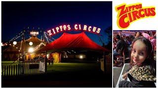 Zippos Circus Live : Amazing Stunts! - You'll Never Believe!