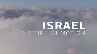 Israel - Nature in motion
