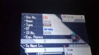 Pokemon white 2 shiny zorua for trade