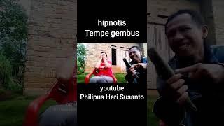 Tempe gembus