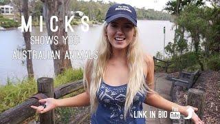 #MICKSMeetsUS || meet some Australian Animals!