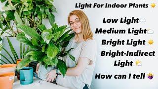 Light for indoor plants - Low, Medium, Bright, and Bright-Indirect light