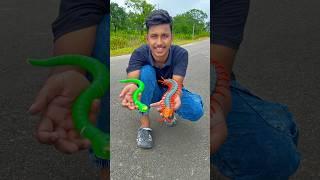 Tin Alag Alag Remote Control Snake Unboxing