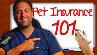 The Ultimate Guide To Pet Insurance (2024 Edition)