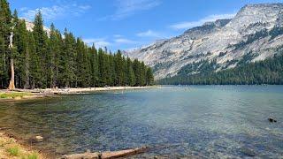 Tenaya Lake is usually below 75°F  during the hot summer season in Yosemite National Park.  #Shorts