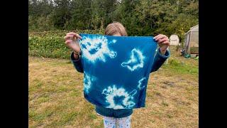 Dyeing with Japanese Indigo at the South Whidbey School Farms