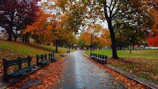 Rainy Autumn Walk in Boston (Public Garden & Boston Common) 4K | Binaural Audio (Rain & City Sounds)