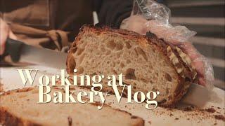 [Sub] Bakery Vlog that helps you fall asleep | Cafe vlog |