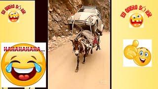 TENTE NAO RIR 2025 VIDEOS ENGRAÇADOS  WHATSAPP MEMES  COMEDIA   COMEDY #euquerosorir