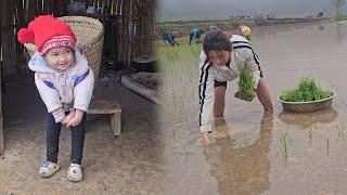 Mother and son fix pig bells and go to plant rice