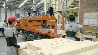 HR500 Resaw Asia | Wood-Mizer