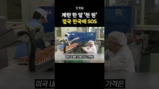 "미국에도 팔아달라" #shorts / YTN